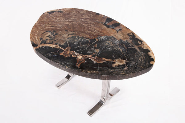 One Slab Living Edge Petrified Wood Console Table w Stainless Stand 53 - Dyag East