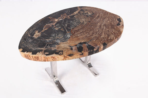 One Slab Living Edge Petrified Wood Console Table w Stainless Stand 53 - Dyag East