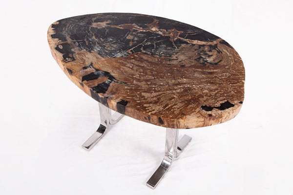 One Slab Living Edge Petrified Wood Console Table w Stainless Stand 53 - Dyag East