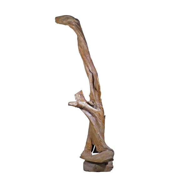 Organic Floor Teak Root Sculpture 1 - Dyag East