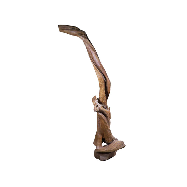 Organic Floor Teak Root Sculpture 1 - Dyag East