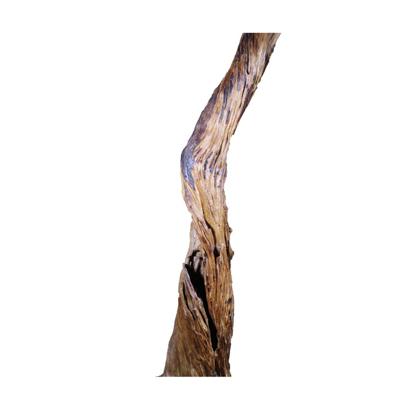Organic Floor Teak Root Sculpture 1 - Dyag East