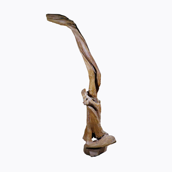 Organic Floor Teak Root Sculpture 1 - Dyag East