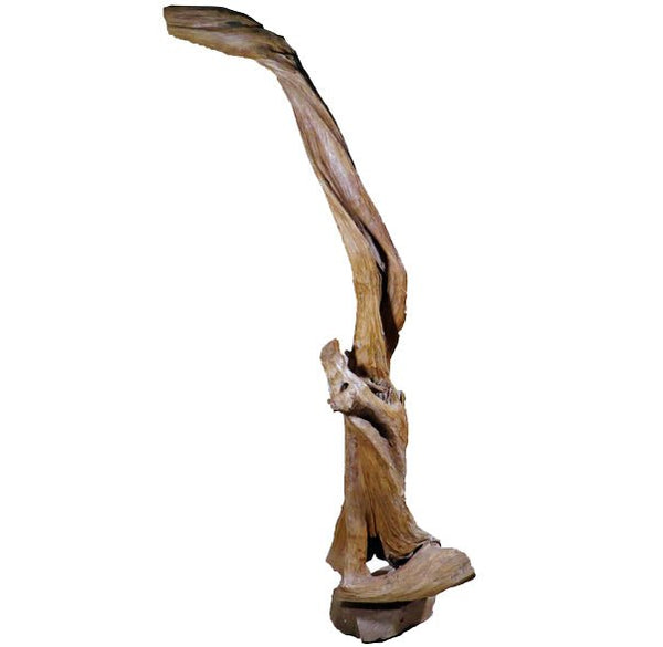 Organic Floor Teak Root Sculpture 1 - Dyag East