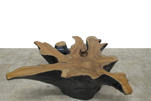 Organic Star Teak Root Coffee Table or Accent Table 59 - Dyag East