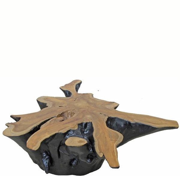 Organic Star Teak Root Coffee Table or Accent Table 59 - Dyag East