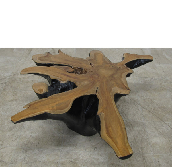 Organic Star Teak Root Coffee Table or Accent Table 59 - Dyag East