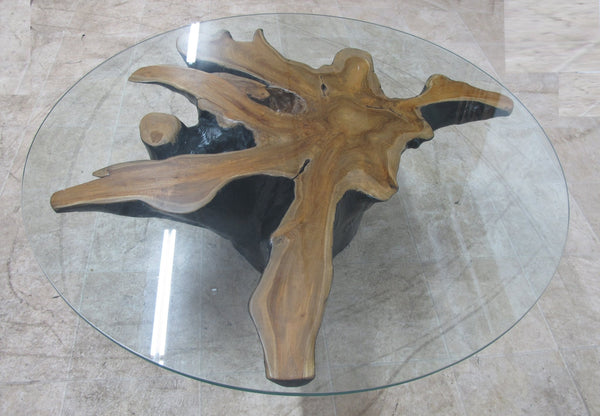 Organic Star Teak Root Coffee Table or Accent Table 59 - Dyag East