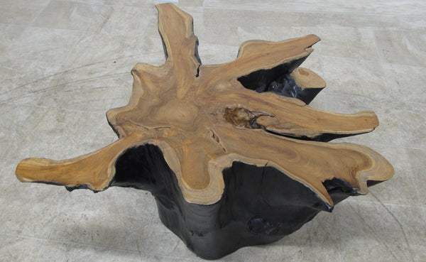 Organic Star Teak Root Coffee Table or Accent Table 59 - Dyag East