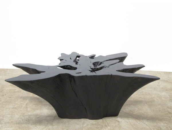 Organic Teak Root Coffee Table in Ebony 46 - Dyag East