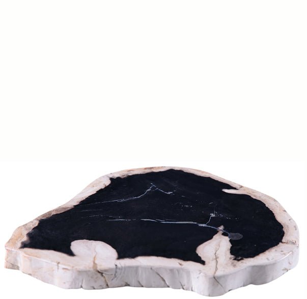 Petrified Wood Board - Dyag East