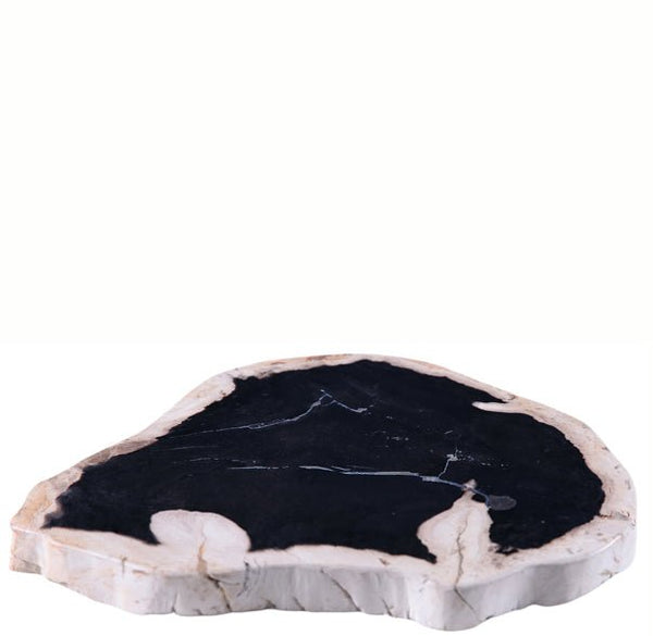 Petrified Wood Board - Dyag East