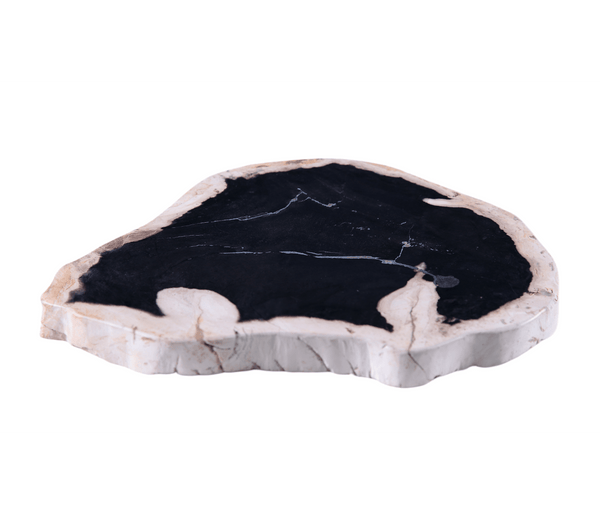 Petrified Wood Board - Dyag East