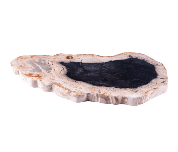 Petrified Wood Board 2 - Dyag East
