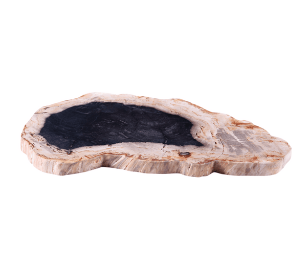 Petrified Wood Board 2 - Dyag East