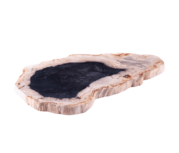 Petrified Wood Board 2 - Dyag East