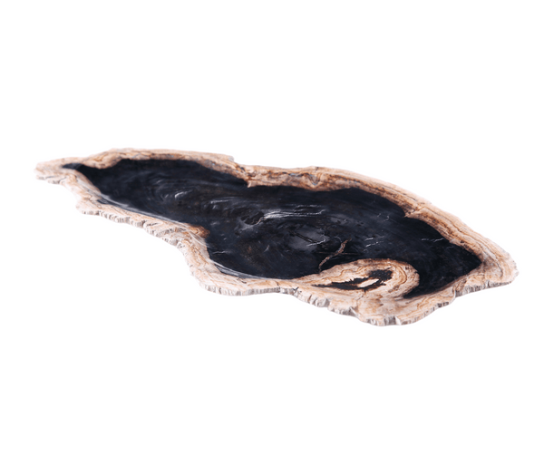 Petrified Wood Board 3 - Dyag East