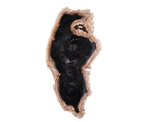 Petrified Wood Board 3 - Dyag East