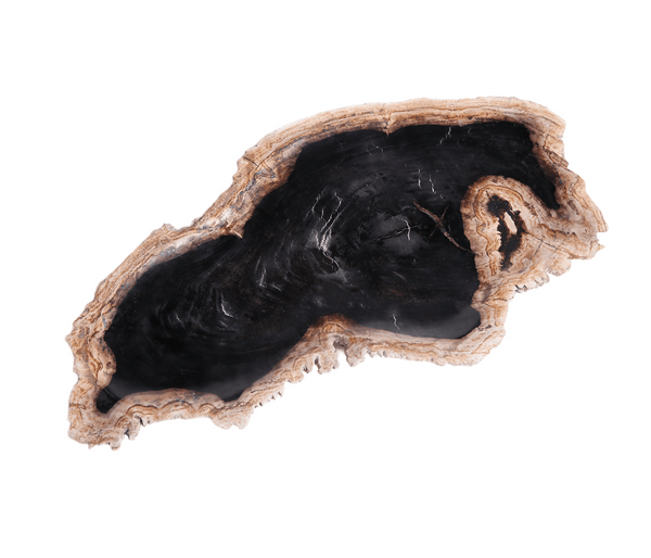 Petrified Wood Board 3 - Dyag East