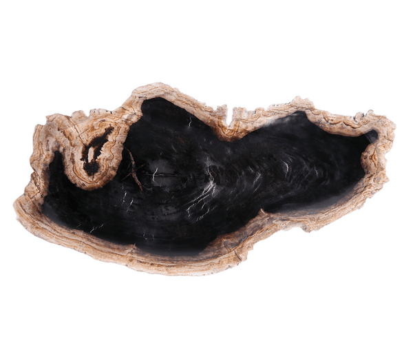 Petrified Wood Board 3 - Dyag East