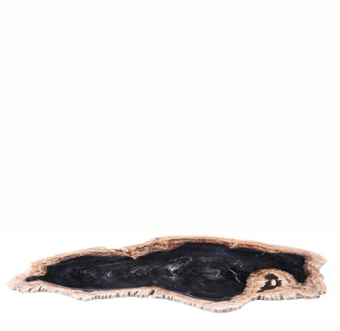 Petrified Wood Board 3 - Dyag East