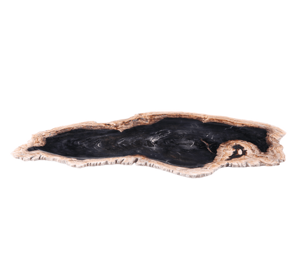 Petrified Wood Board 3 - Dyag East