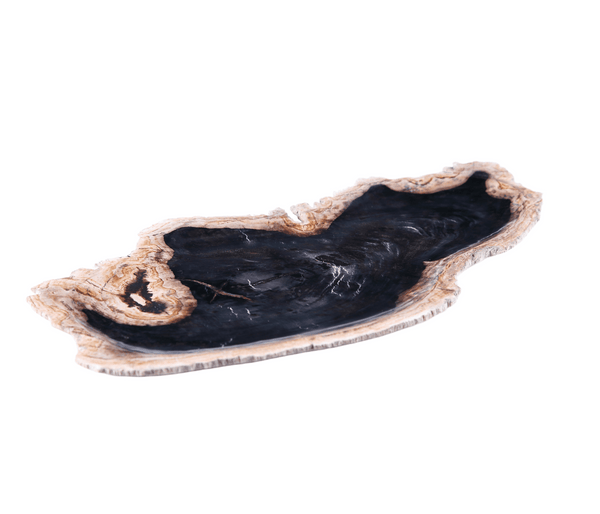 Petrified Wood Board 3 - Dyag East