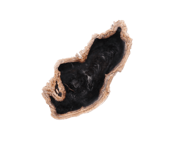 Petrified Wood Board 3 - Dyag East