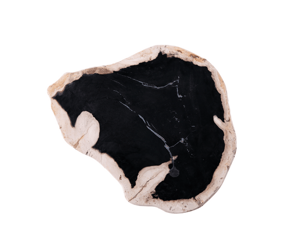 Petrified Wood Board - Dyag East