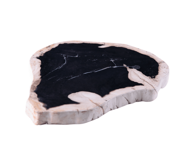 Petrified Wood Board - Dyag East