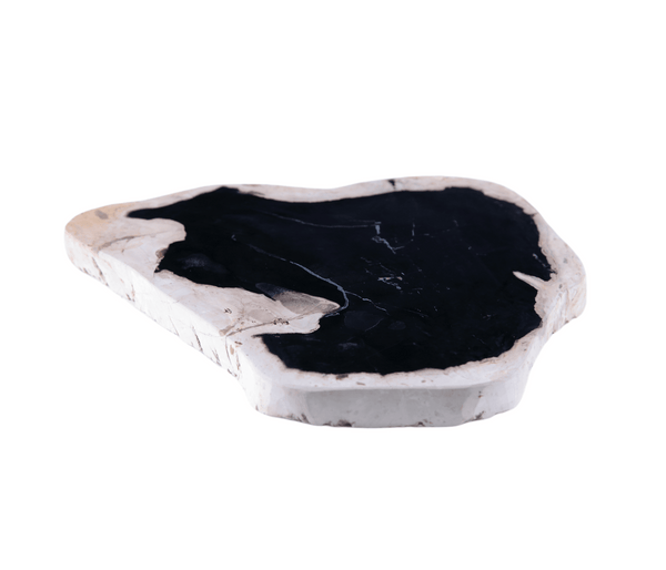Petrified Wood Board - Dyag East
