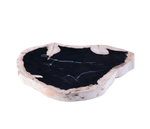 Petrified Wood Board - Dyag East
