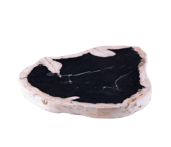 Petrified Wood Board - Dyag East