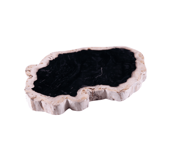 Petrified Wood Board - Dyag East