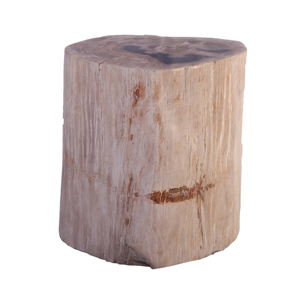 Petrified Wood Stool Accent Table 211 - Dyag East