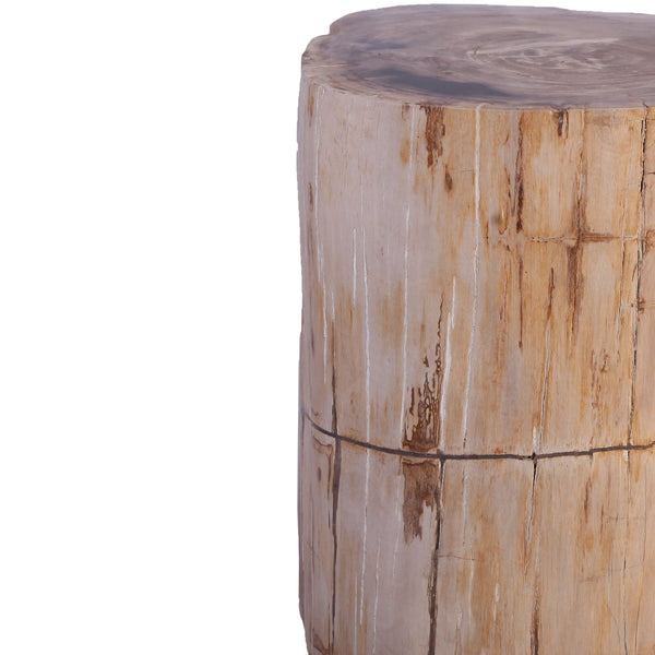 Petrified Wood Stool Accent Table 211 - Dyag East
