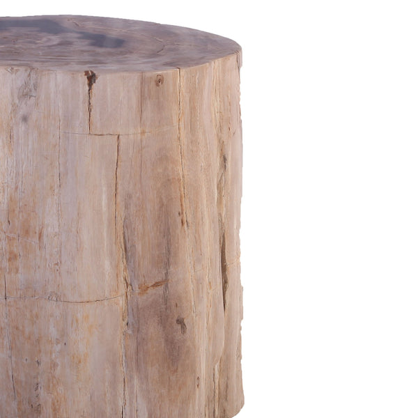 Petrified Wood Stool Accent Table 212 - Dyag East