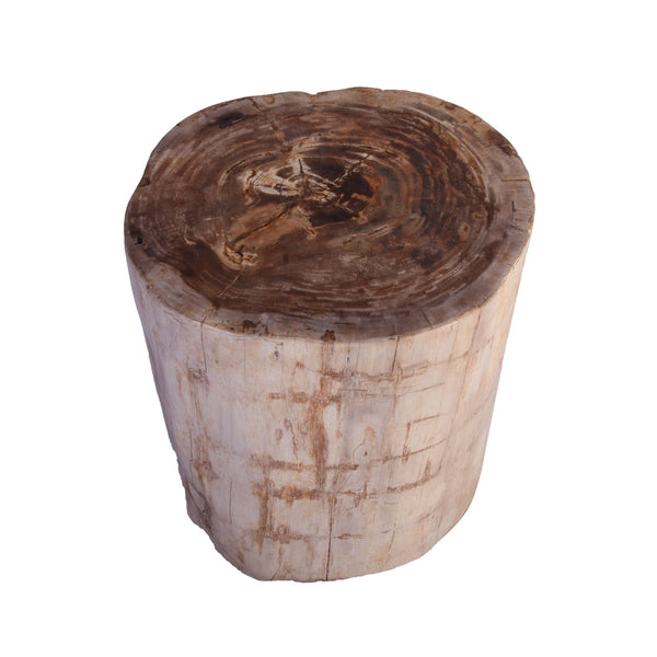 Petrified Wood Stool Accent Table 213 - Dyag East