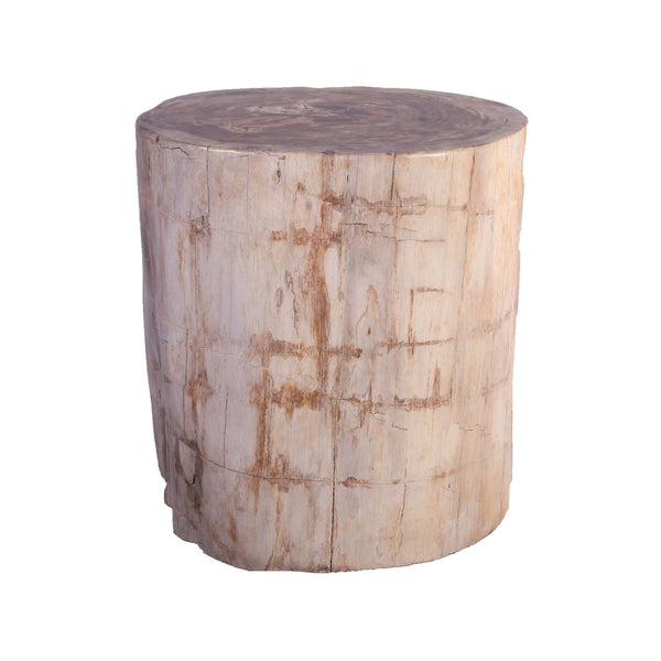 Petrified Wood Stool Accent Table 213 - Dyag East