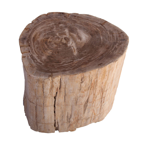 Petrified Wood Stool Accent Table 214 - Dyag East