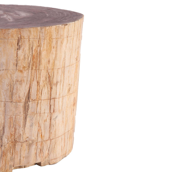 Petrified Wood Stool Accent Table 214 - Dyag East