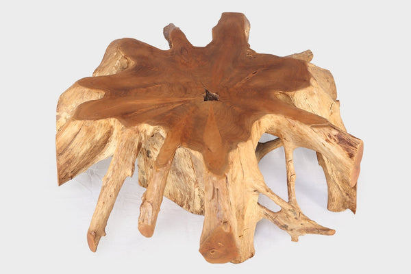Round 36" Inch Organic Teak Root Coffee Table 27 - Dyag East