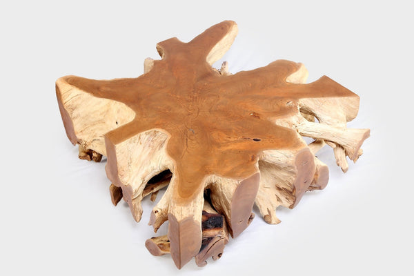 Square 36" Inch Organic Teak Root Coffee Table 52 - Dyag East