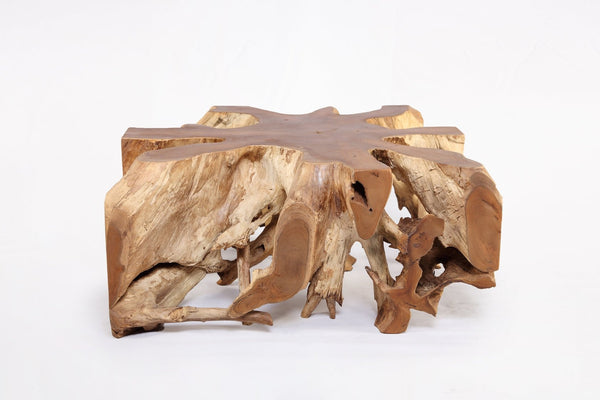 Square 36" Inch Organic Teak Root Coffee Table 53 - Dyag East