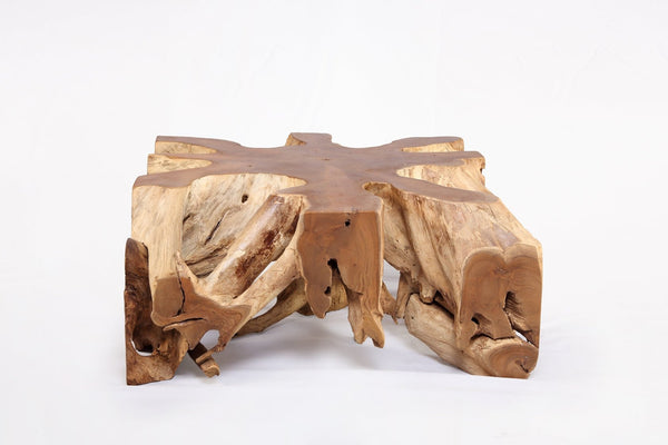 Square 36" Inch Organic Teak Root Coffee Table 53 - Dyag East