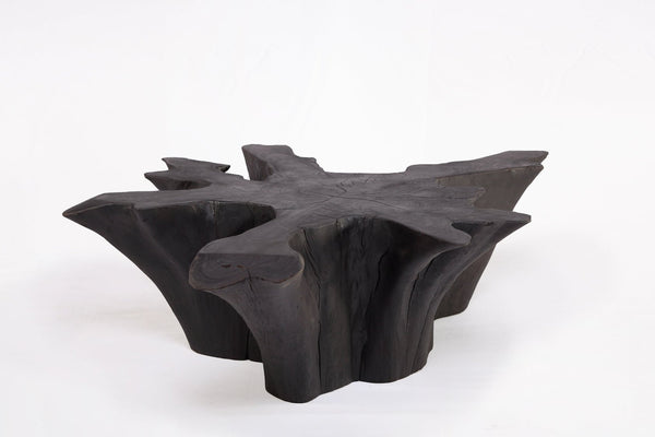 Z - Black Burnt Organic Teak Root Coffee Table 78 - Dyag East