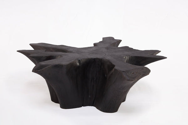 Z - Black Burnt Organic Teak Root Coffee Table 78 - Dyag East
