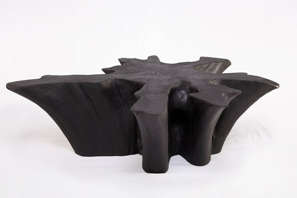 Z - Black Burnt Organic Teak Root Coffee Table 78 - Dyag East
