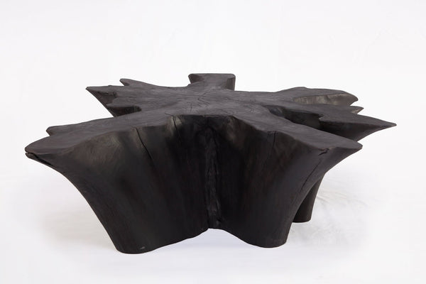 Z - Black Burnt Organic Teak Root Coffee Table 78 - Dyag East