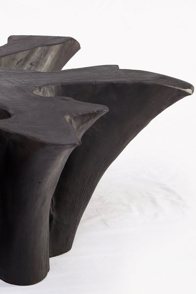 Z - Black Burnt Organic Teak Root Coffee Table 78 - Dyag East
